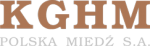 KGHM Polska Miedź logo
